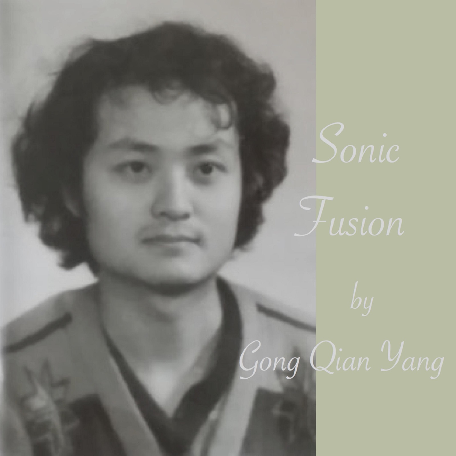 Sonic Fusion album cover